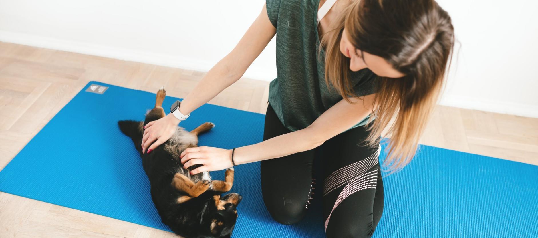 Dettagli spazio interno